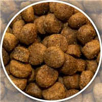 Shoreway Chicken for Adult Maintenance Dry Dog Food 5 lbs.