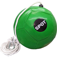 Spot Tether Ball with Rope I031335