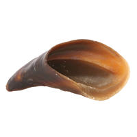 Redbarn Cow Hoof Natural Chew for Dogs Z78518450001