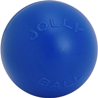 JollyPet Blue Push N Play I032199b