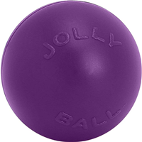 JollyPets Purple Push N Play 10" I032205