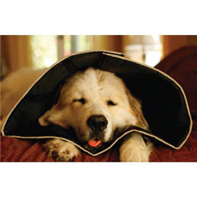 Comfy Cones ⢠17041b