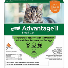 A closer look at Economic Cat Flea Solutions